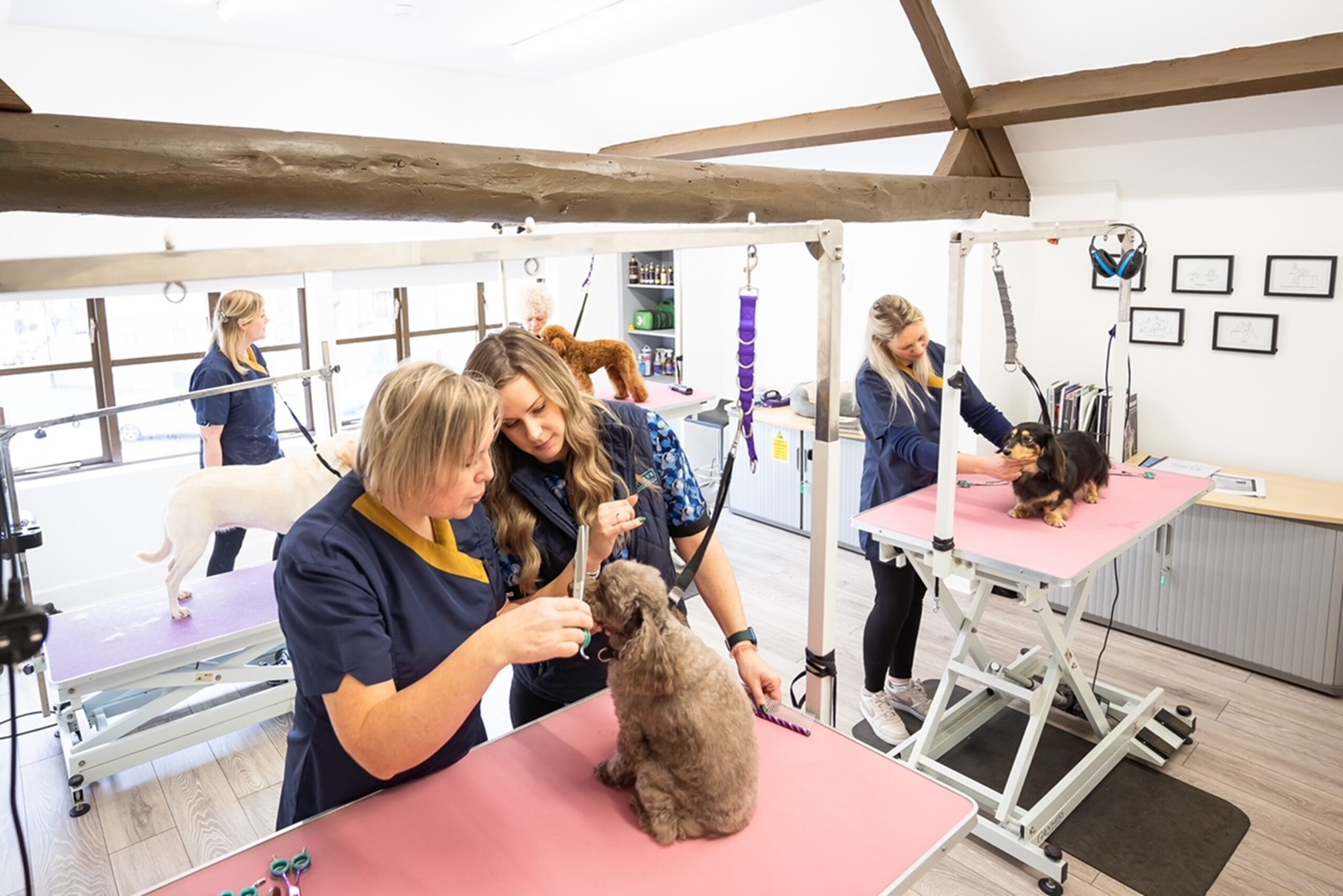 RQF_Bentleys Dog grooming academy 2