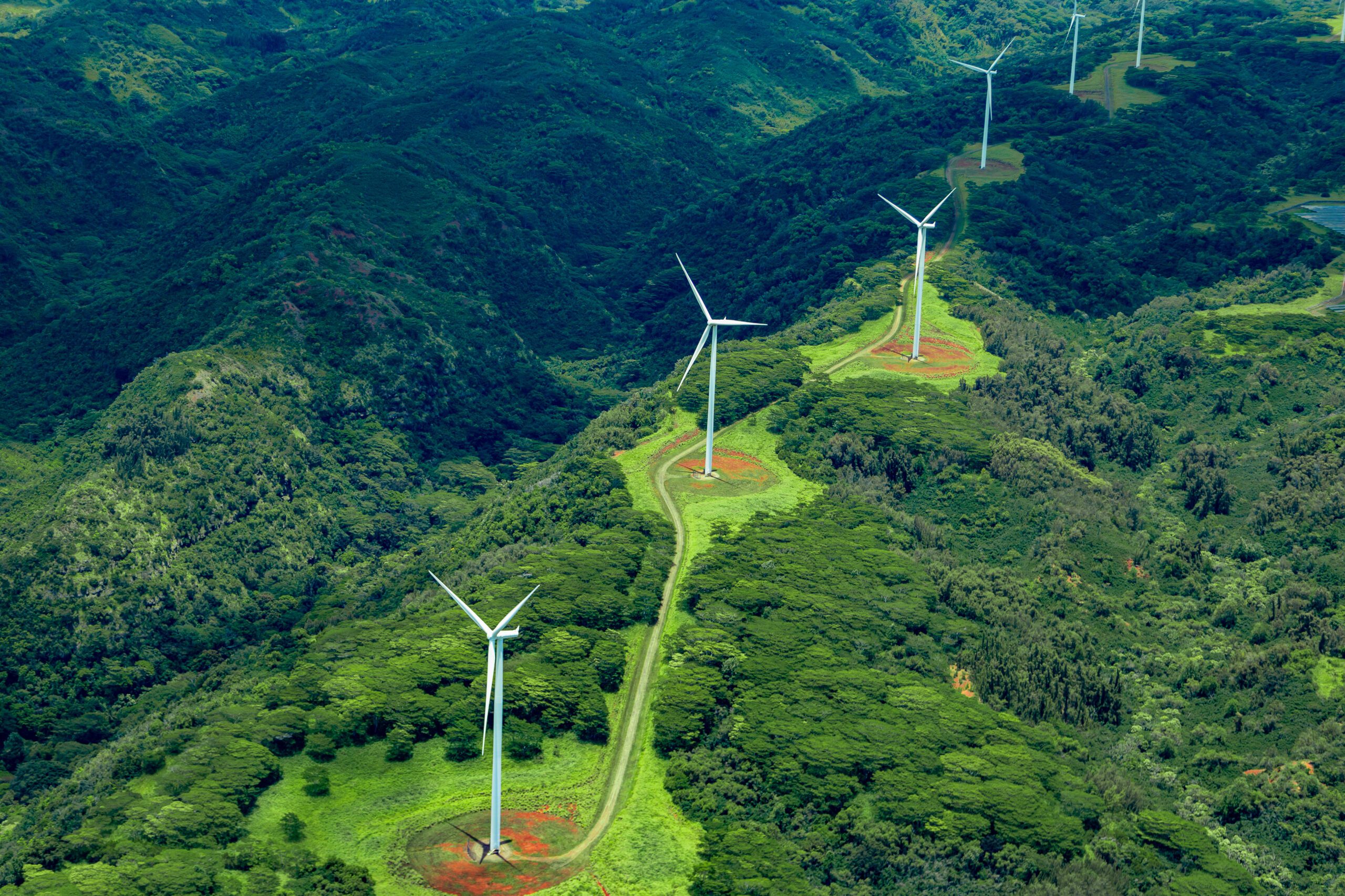 Aerial photo of white windmills in a line on green land leading