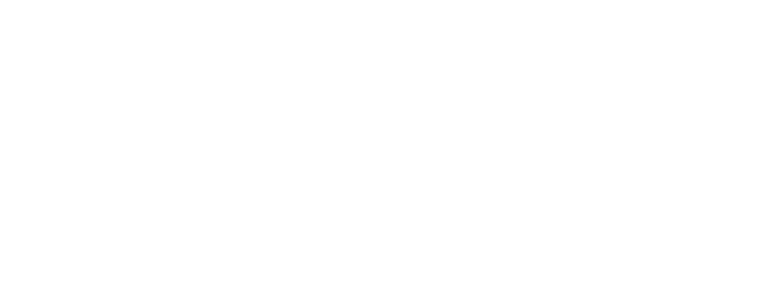 LDN Vertical Logo - White